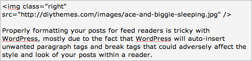 WordPress post entry field
