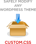 Download the Custom CSS File for WordPress