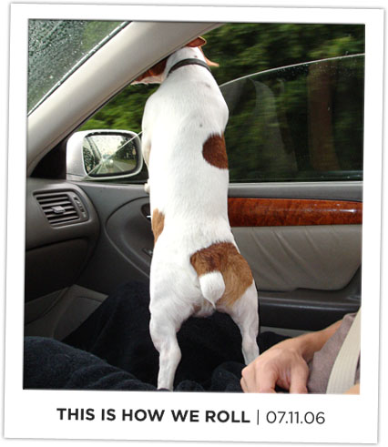 This is how we roll, an image of Deuce hanging out the car window.